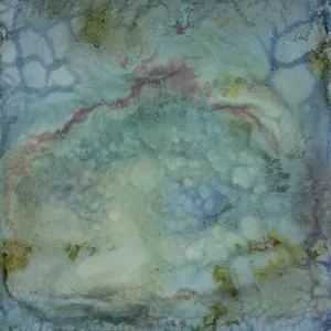 1_DP23