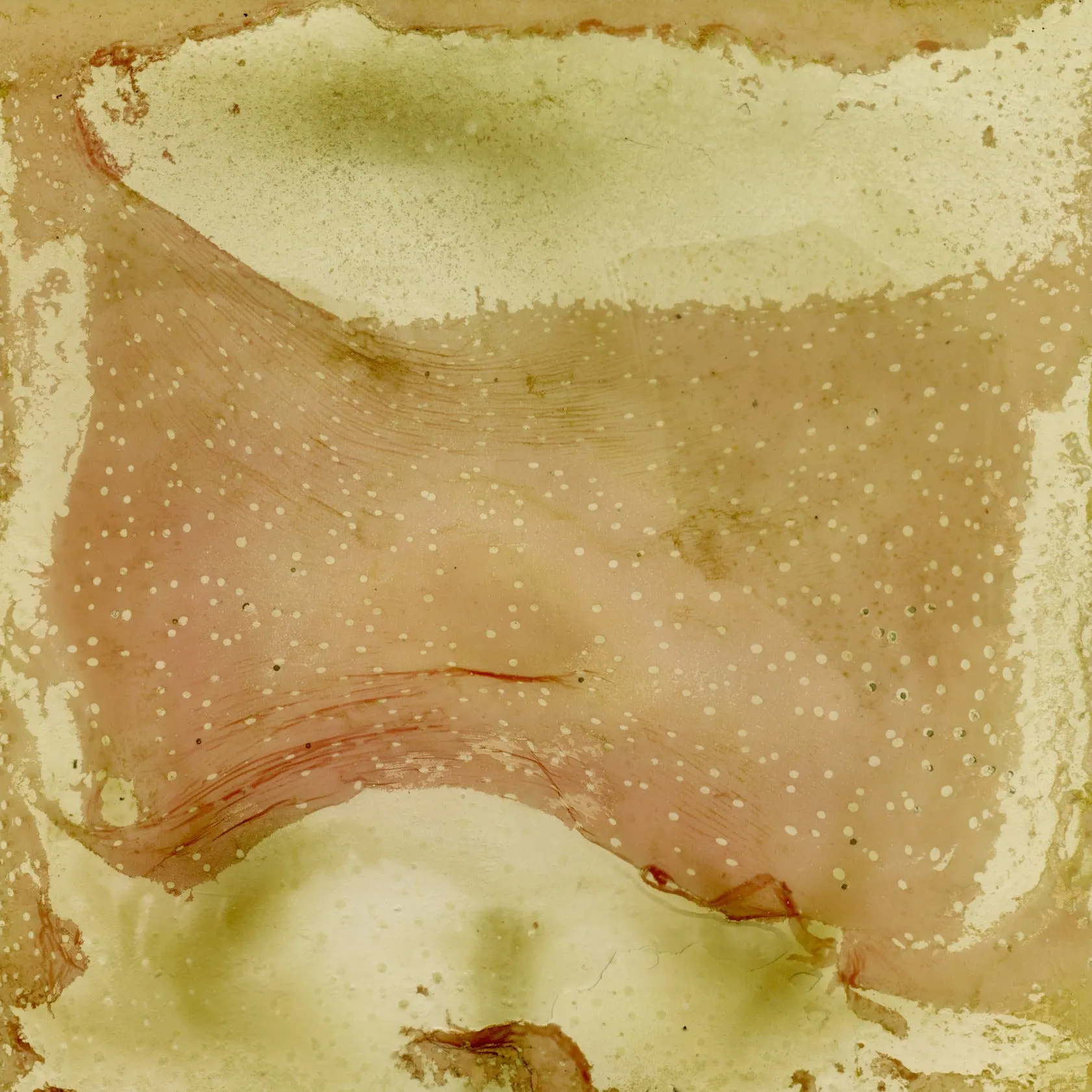23_DP23