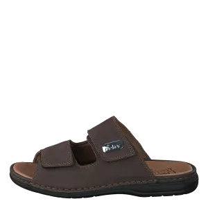 25590 Brown