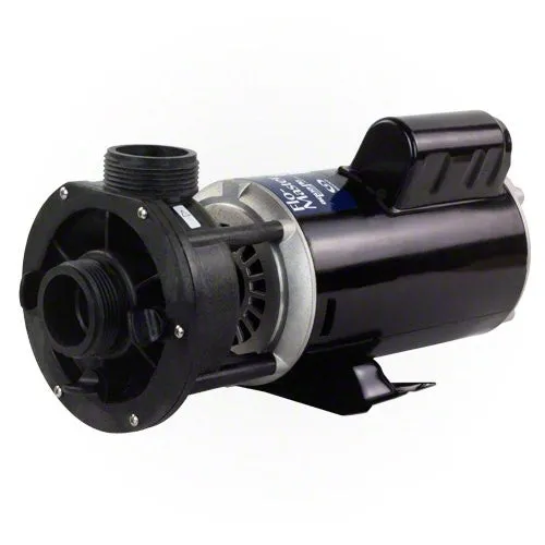 Gecko Aqua-Flo Flo-Master FMCP 3/4 HP 2 Speed 115V Pump 48 Frame