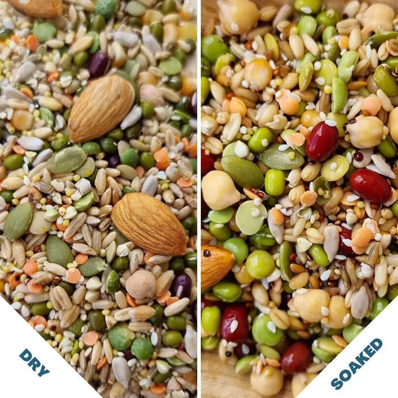Raw for Birds Flock Soaking Blend 2kg