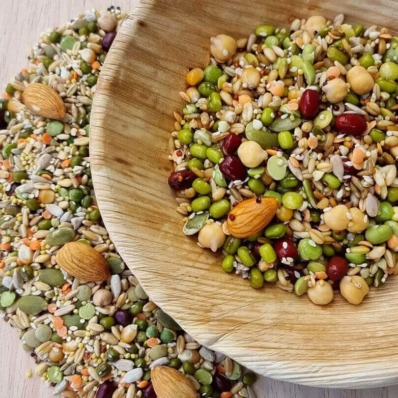 Raw for Birds Flock Soaking Blend 2kg
