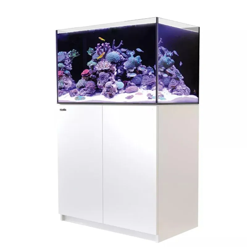 REEFER 250 G2  - Red Sea
