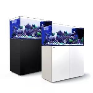 REEFER Peninsula 500 G2  - Red Sea