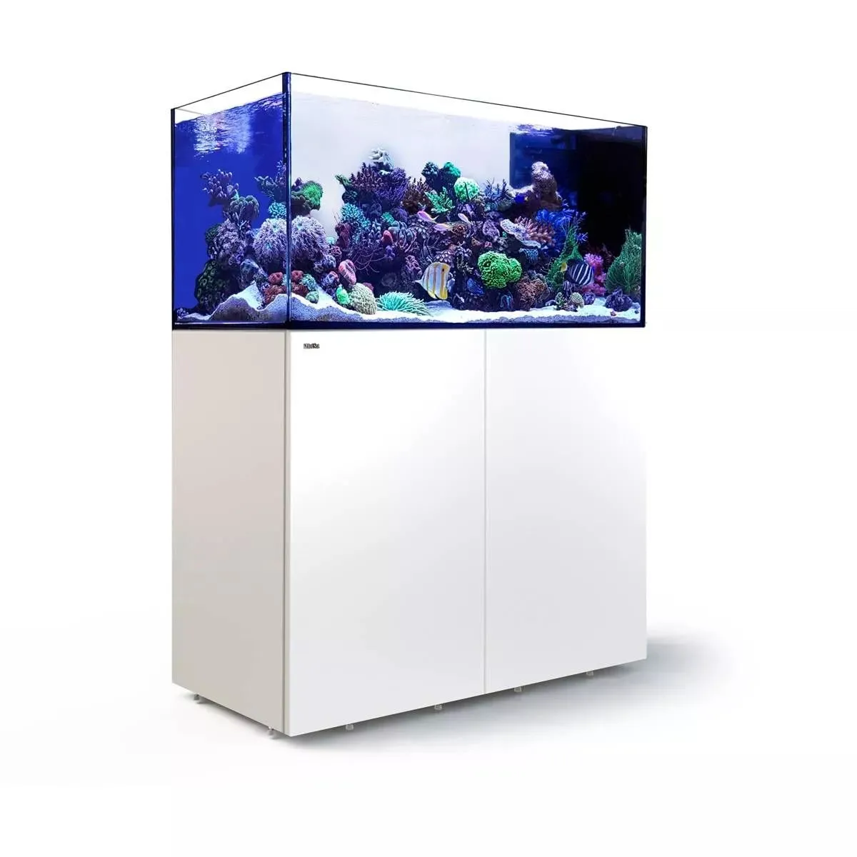 REEFER Peninsula 500 G2  - Red Sea