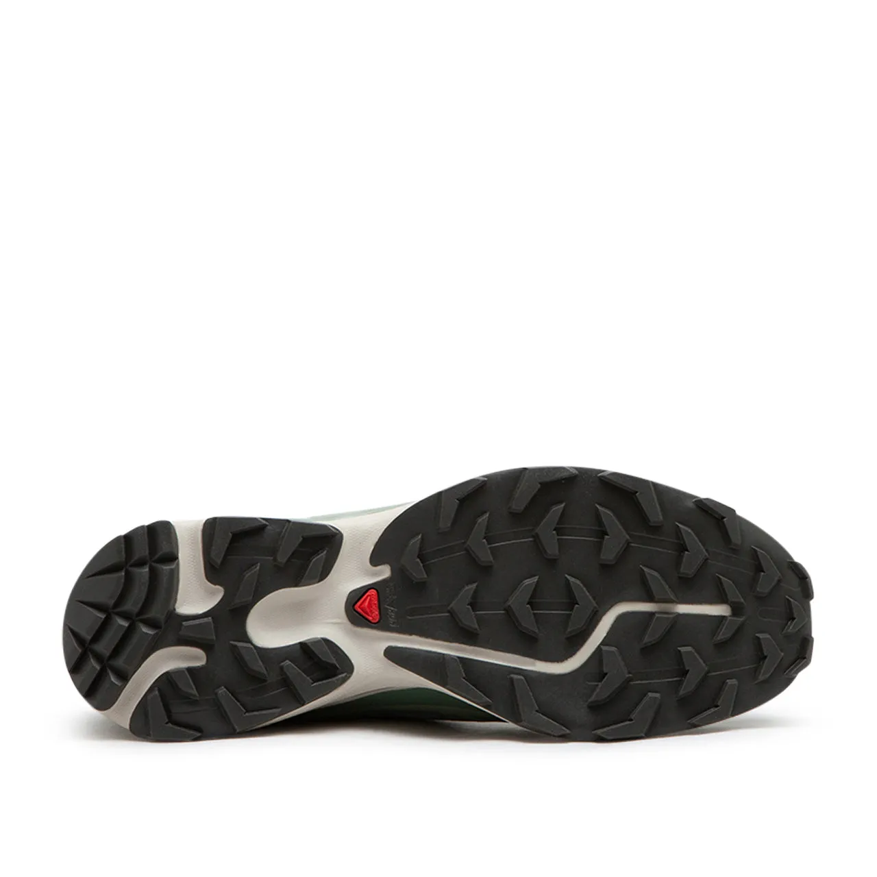 salomon xt-6 (laurel wreath / lily pad / desert sage)